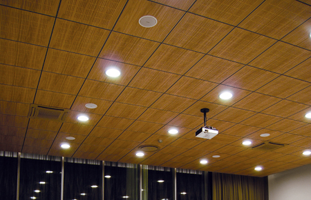 Cbi Europe Wood Ceilings