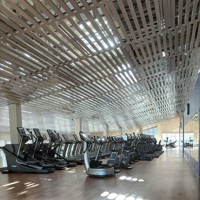 Cbi Europe Metal Ceilings